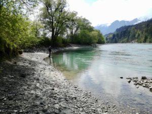 Äschenfieber am Inn im Unterland